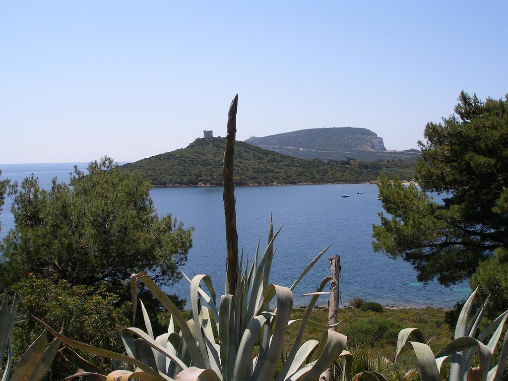 Guest house Giramondo Sardegna Affittacamere Alghero