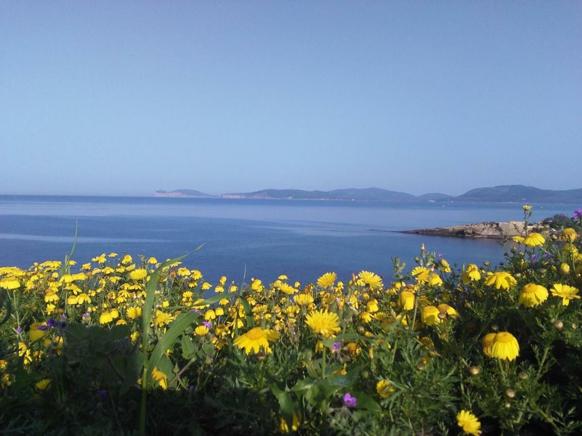 Giramondo Sardegna Affittacamere